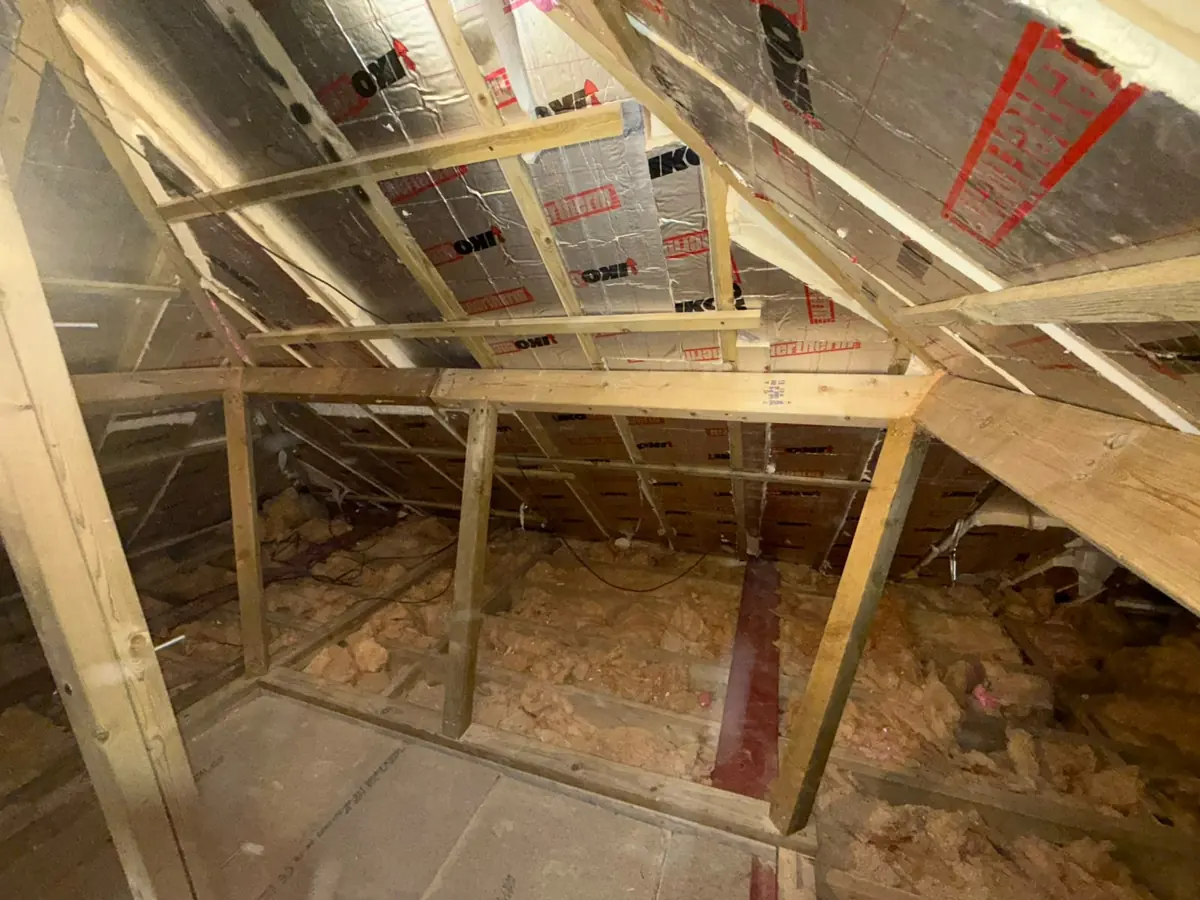 Opened-up loft: new timber purlin and strut frame with a steel beam at ceiling level