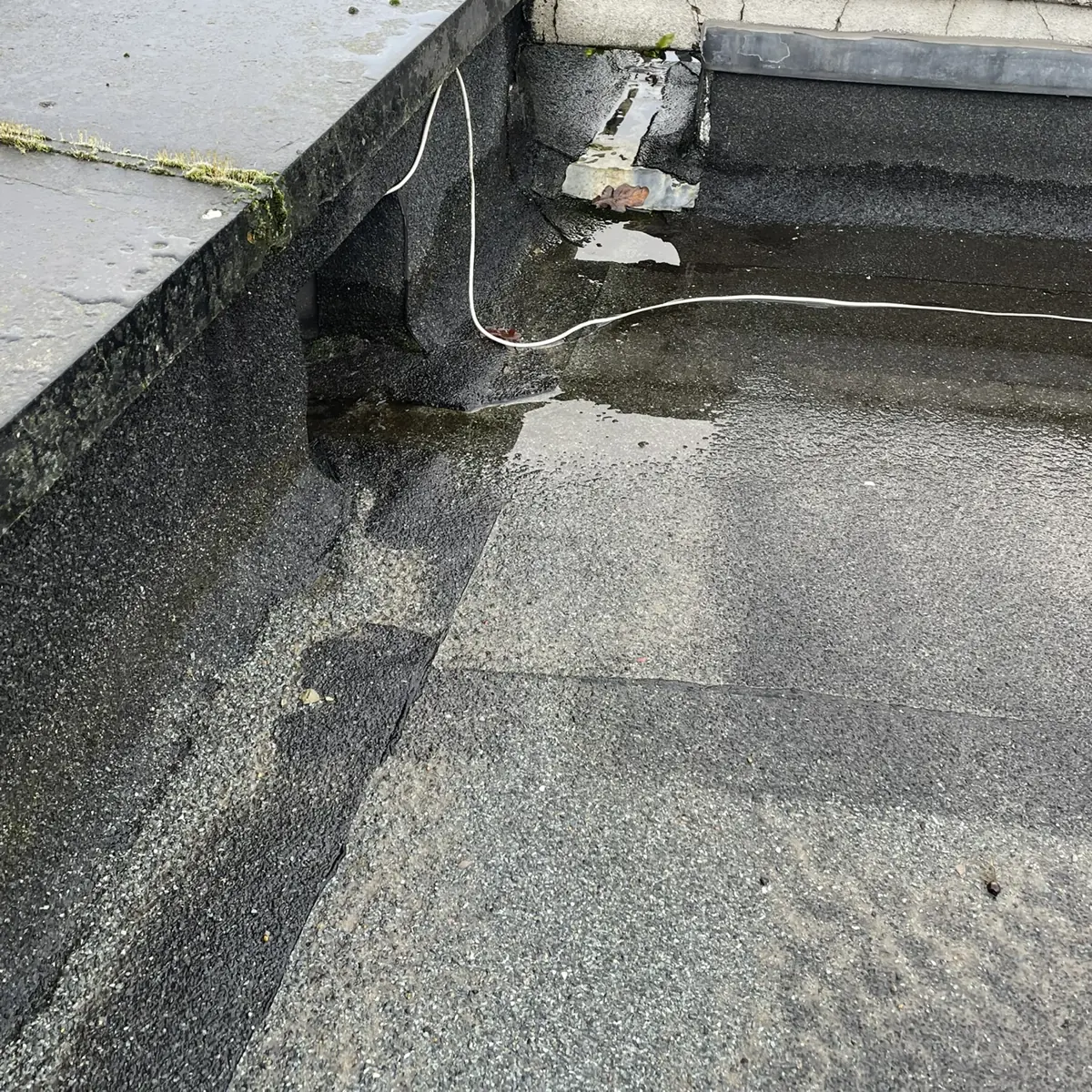 Close-up of a flat-roof parapet junction: coping, felt upstand and ponding water, a typical condition-survey detail