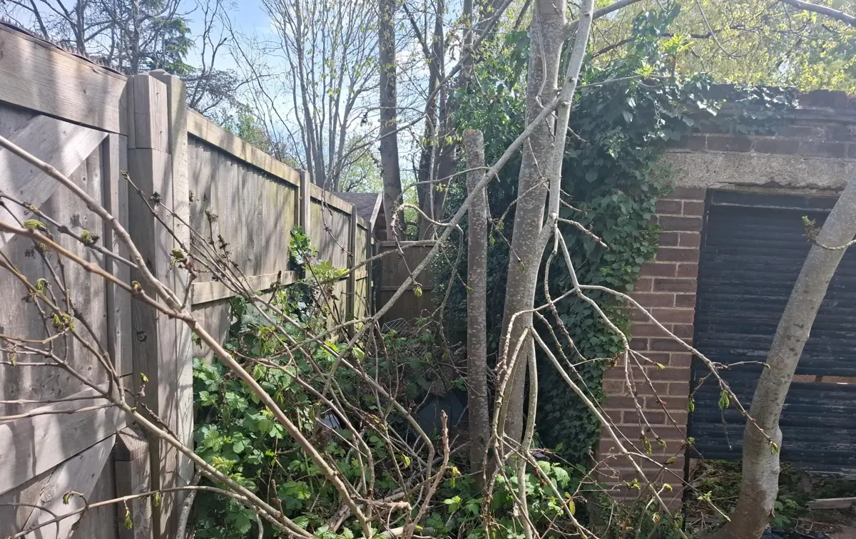 Overgrown rear of a garage block and fencing at the site before clearance